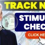 Track Your New Stimulus Check Online