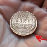 The Lincoln Wheat Penny