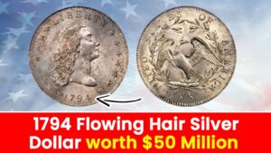 Hair Silver Dollar